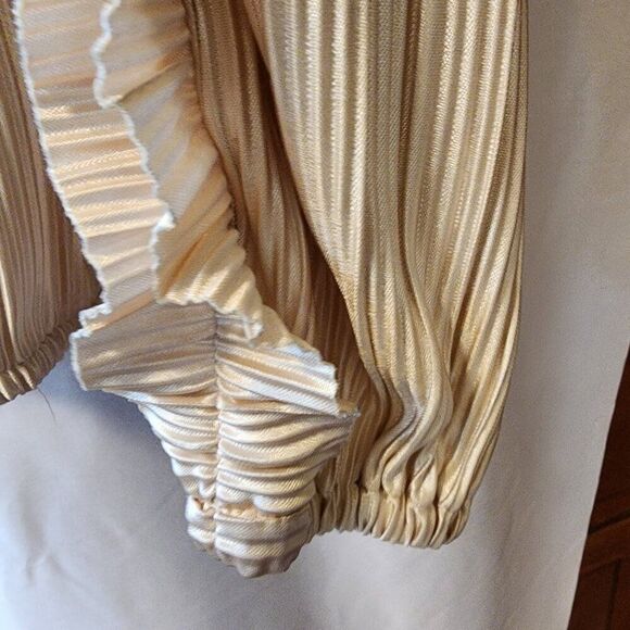 AVA JAMES SIZE MEDIUM CHAMPAGNE BEIGE LONG SLEEVE BLOUSE, HAS SHIMMER - Picture 7 of 7